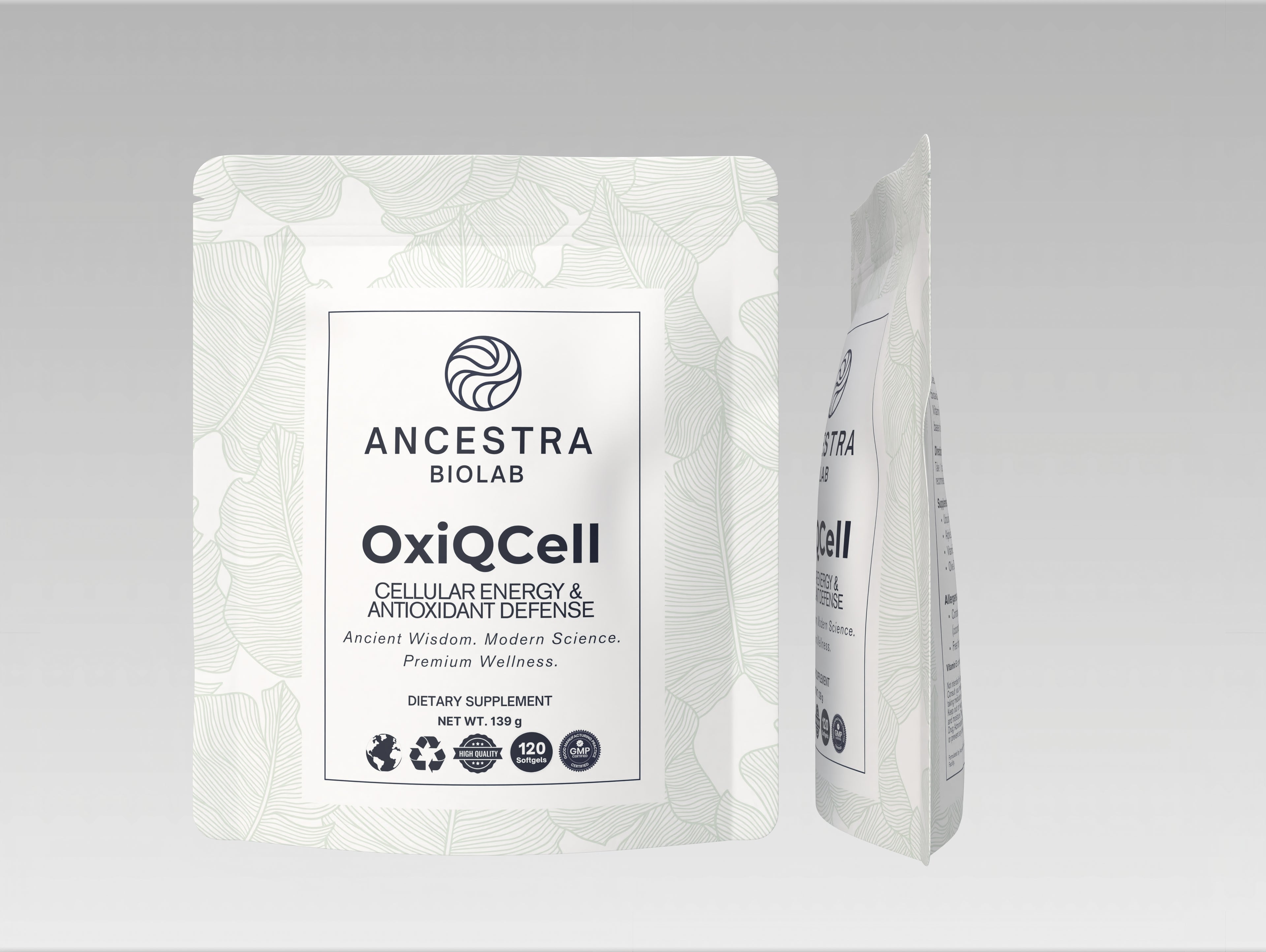 Longevity energy antioxidant energy mitochondria 