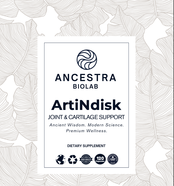 ArtiNdisk